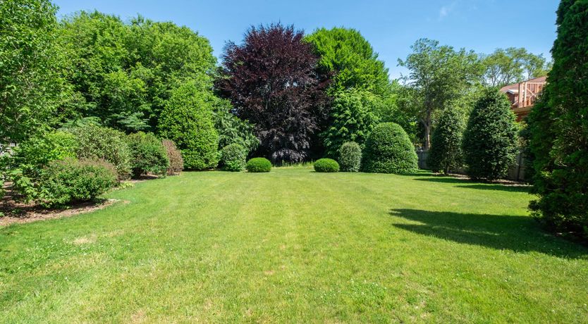 Photo of Hamptons Dreams