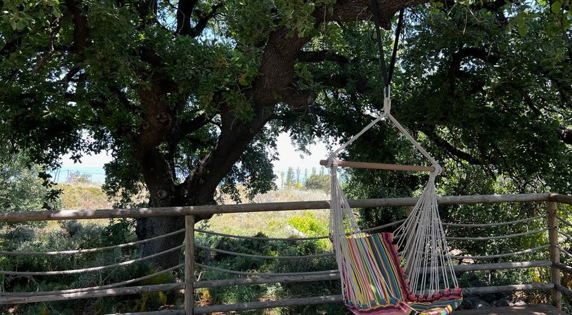 Photo of A Sumptuous Sight