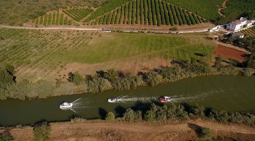 Photo of The Golden Dream