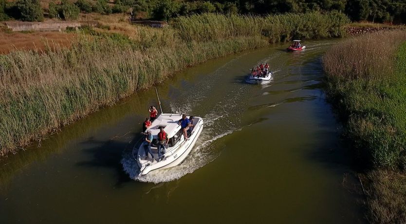 Photo of The Golden Dream