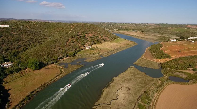 Photo of The Golden Dream