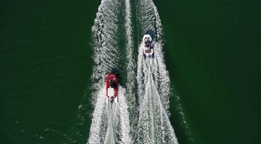 Photo of The Golden Dream