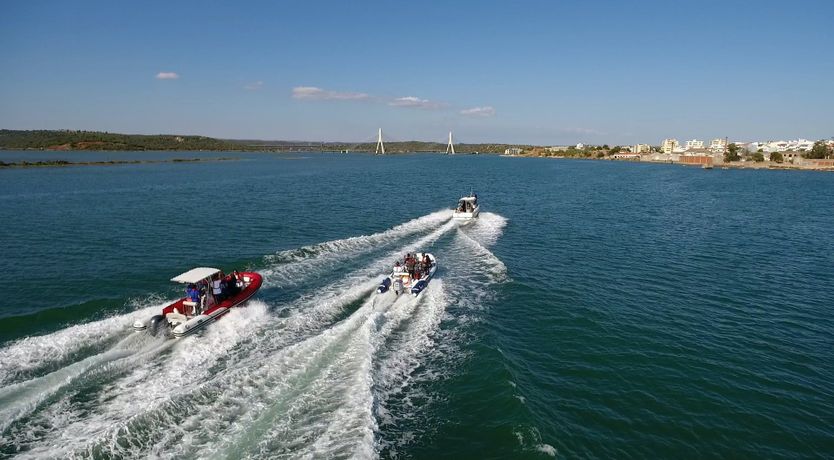 Photo of The Golden Dream