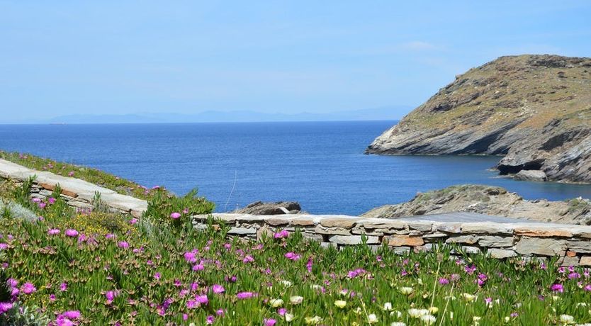 Photo of Sea Shell, Sea Shell