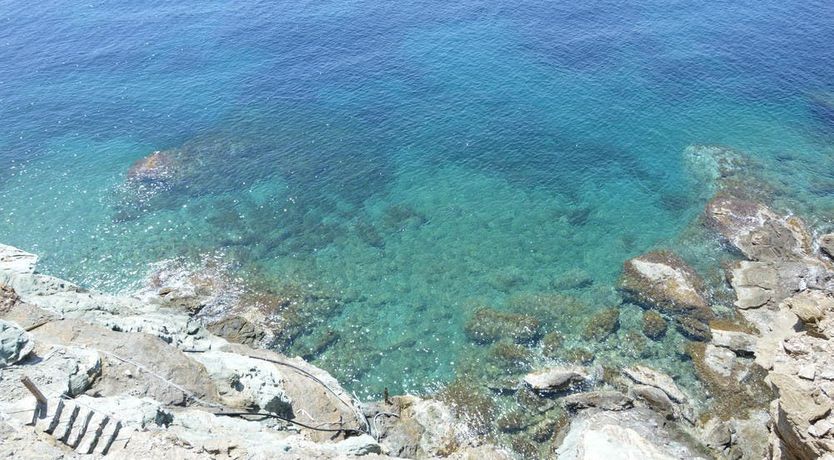 Photo of Sea Shell, Sea Shell