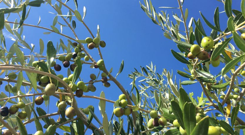 Photo of Eyes on the Waves