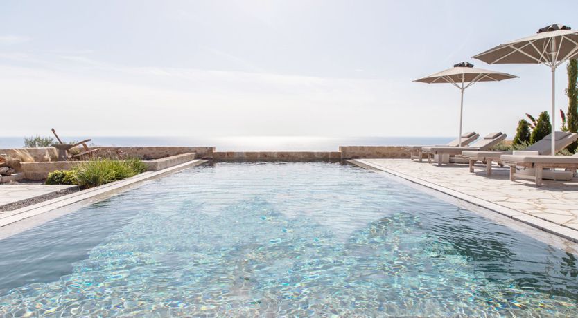 Photo of Peppered Palms