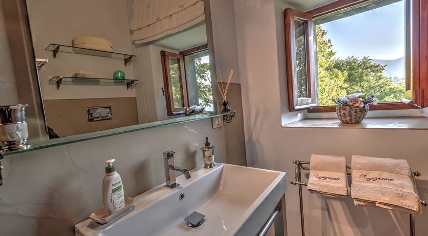 Photo of Vineyard Vistas