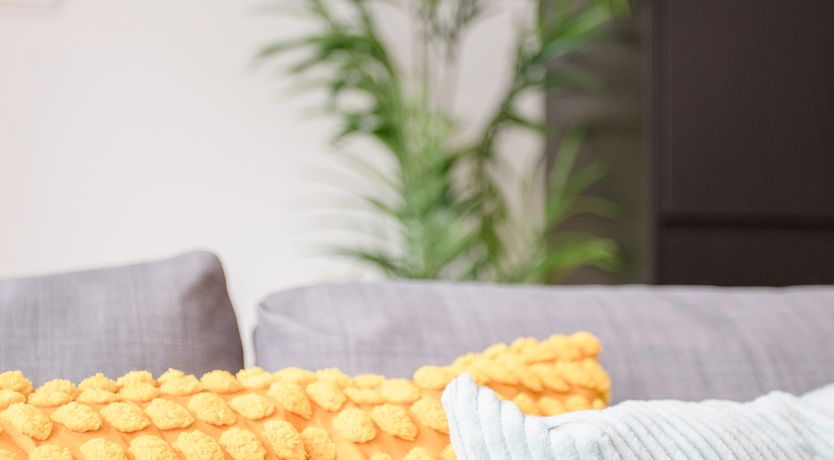 Photo of The Warmth of Your Smile