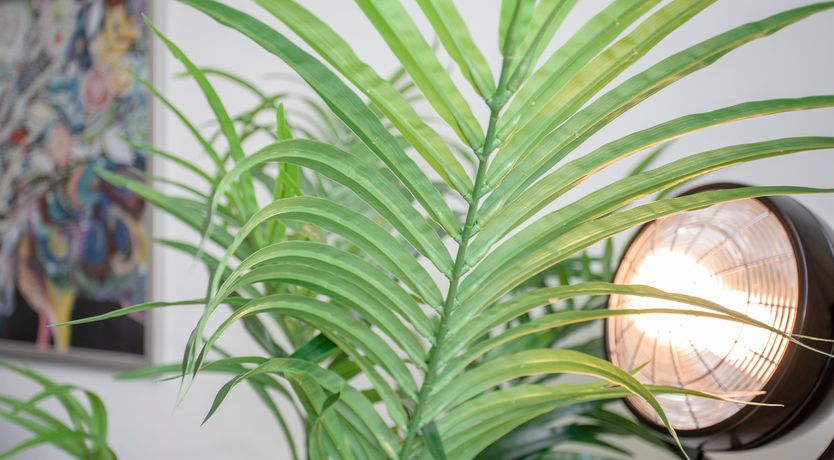 Photo of The Warmth of Your Smile