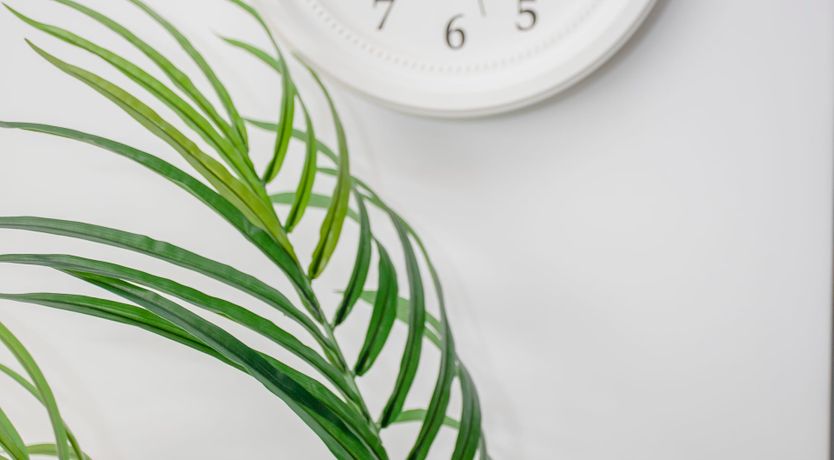 Photo of The Warmth of Your Smile