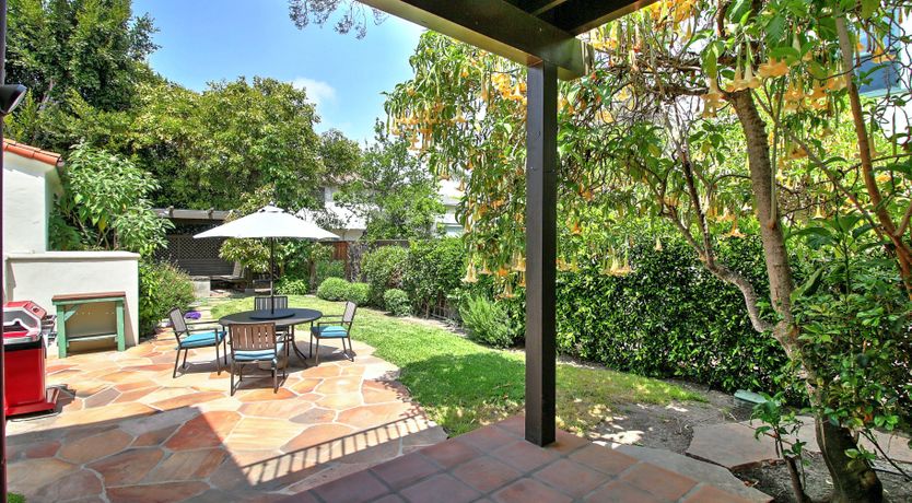 Photo of The Palm Tree Sea