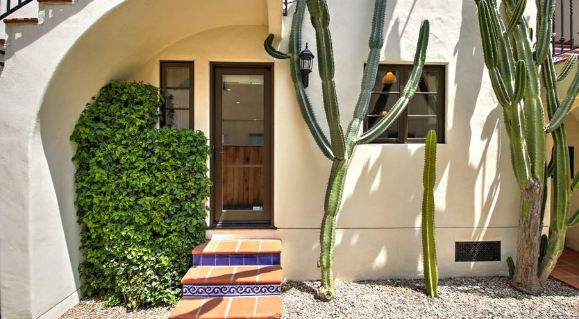 Photo of The Palm Tree Sea