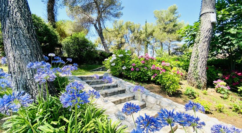 Photo of Polished & Painted