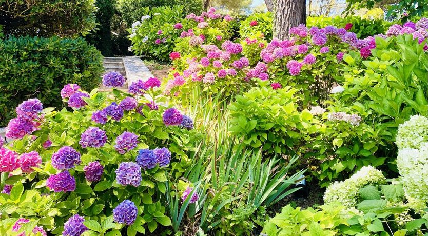 Photo of Polished & Painted