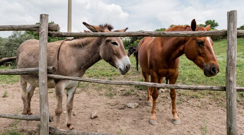 Photo of Artistic Retreat