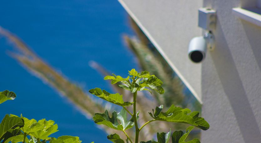 Photo of A Natural Stroll