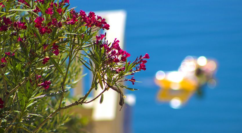 Photo of A Natural Stroll