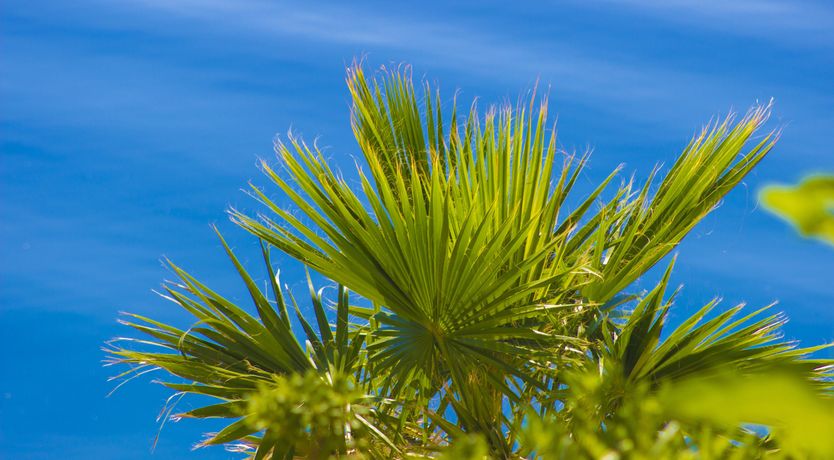 Photo of A Natural Stroll