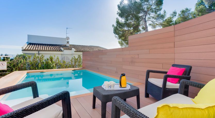 Photo of A Blush of White