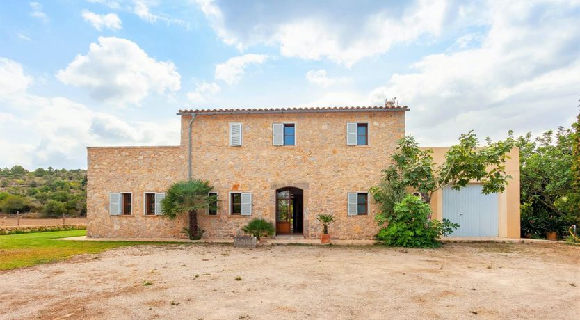 Photo of Timeless Terracotta