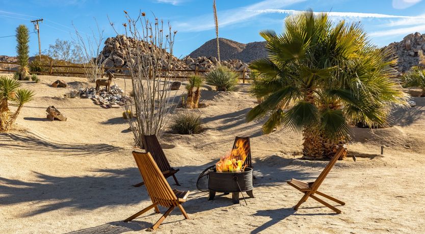 Photo of Desert Wood