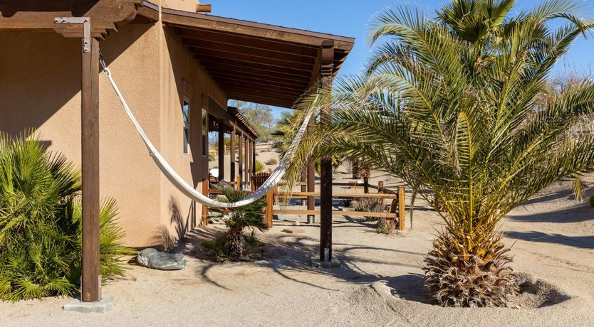 Photo of Desert Wood