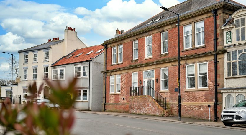 Photo of The Lofty Lily