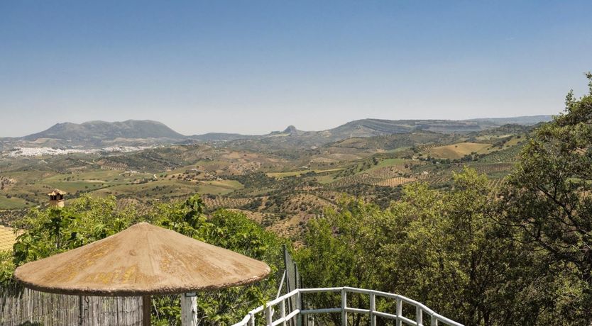 Photo of The Mountain's Dream