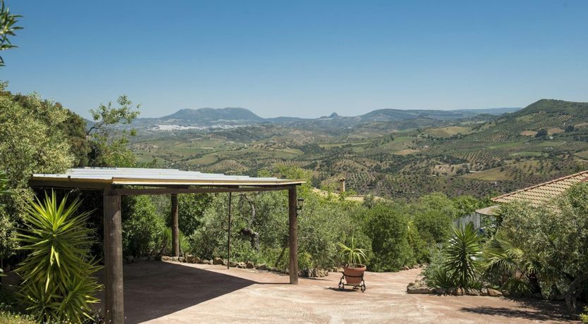 Photo of The Mountain's Dream