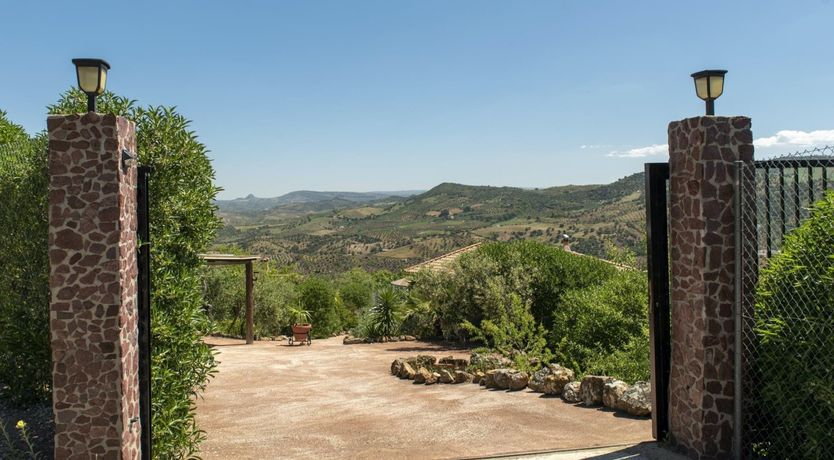 Photo of The Mountain's Dream