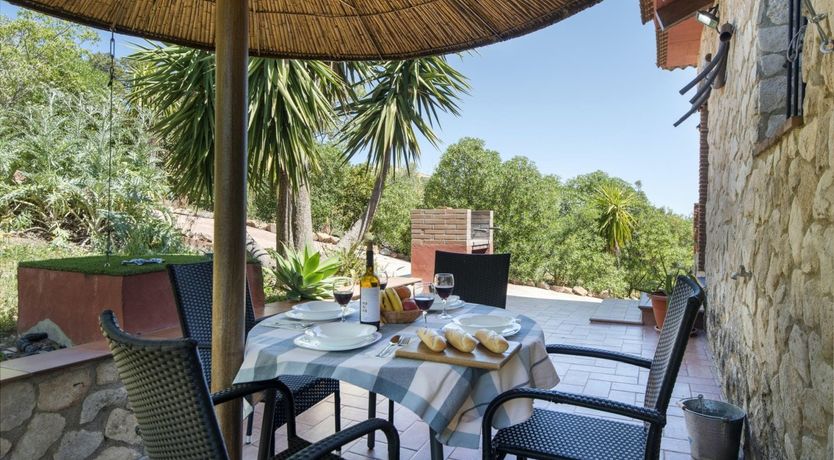 Photo of The Mountain's Dream