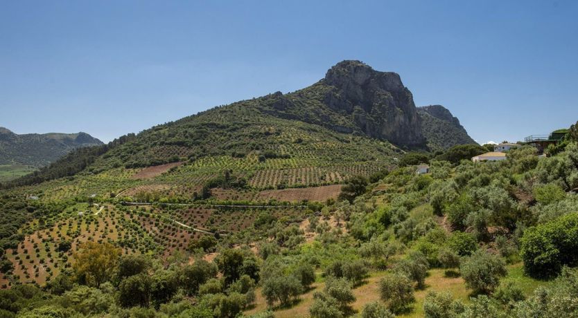 Photo of The Mountain's Dream