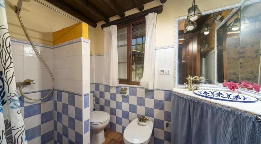 Photo of The Mountain's Dream