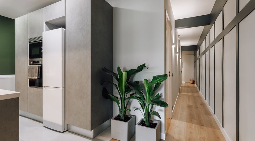 Photo of The Flying Gardens