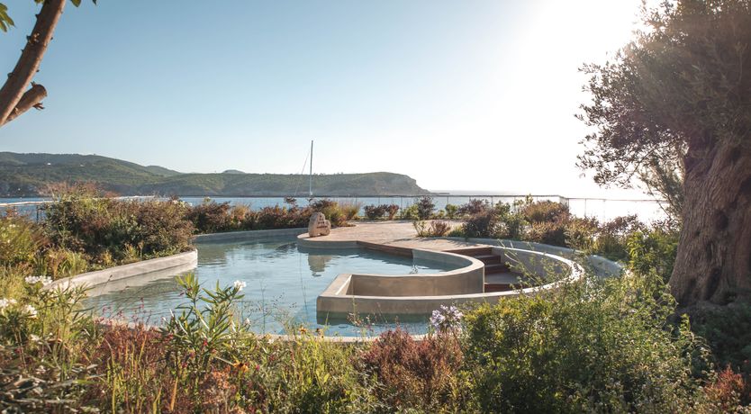 Photo of The Eco Warrior