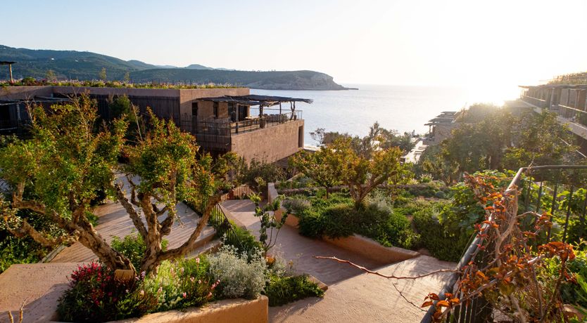 Photo of The Eco Warrior