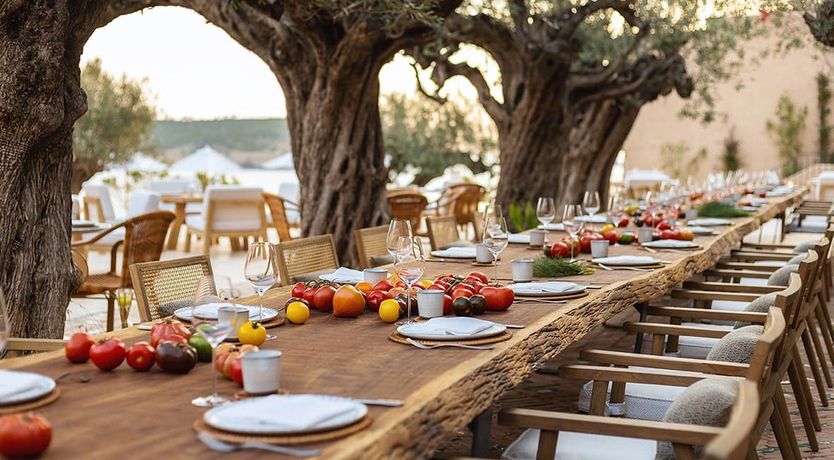 Photo of The Eco Warrior