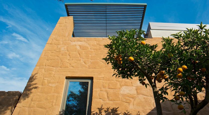 Photo of Citrus Juice