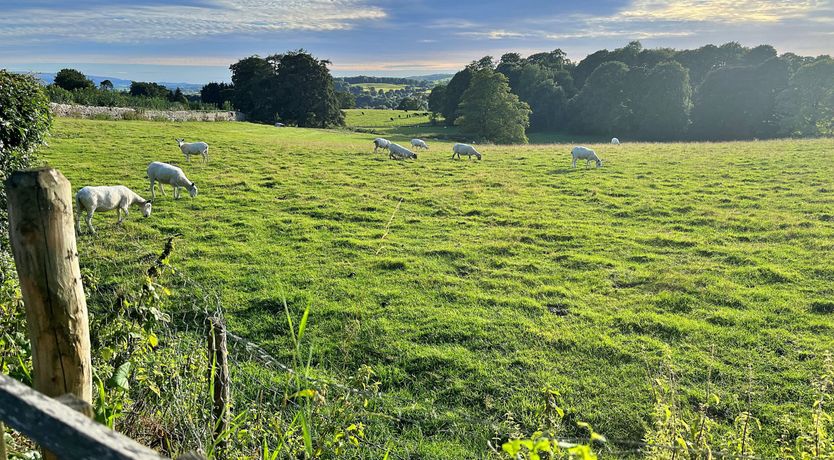 Photo of Casterton Gardens