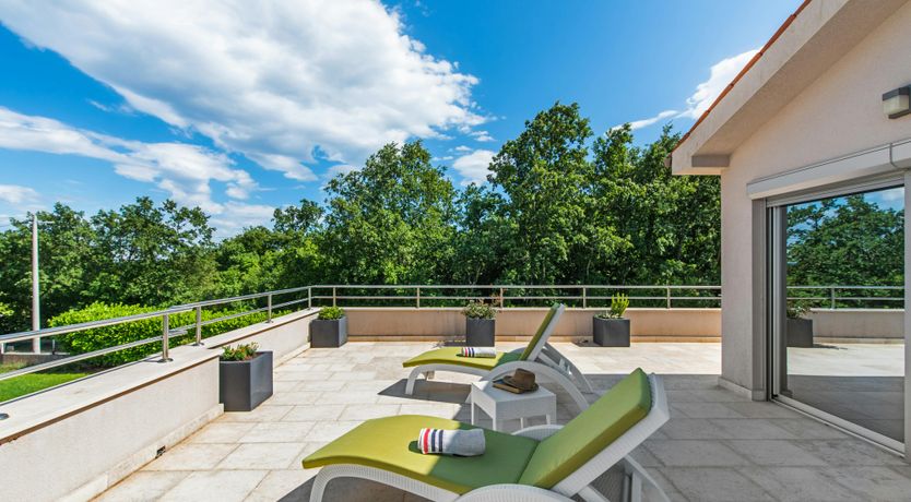 Photo of The Sunny Garden