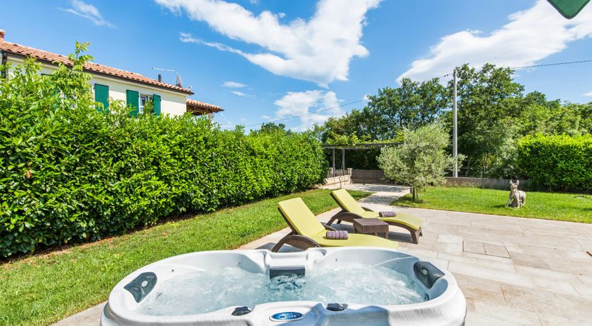 Photo of The Sunny Garden