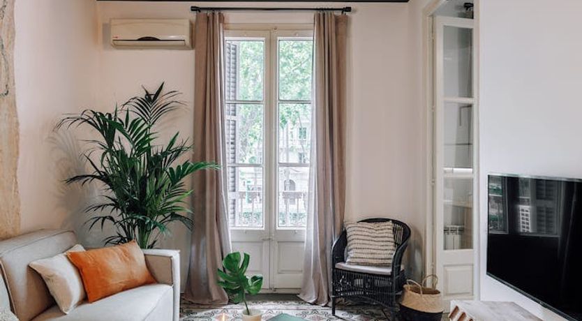 Photo of Jungle Green