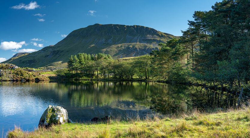 Photo of The Olde Abode