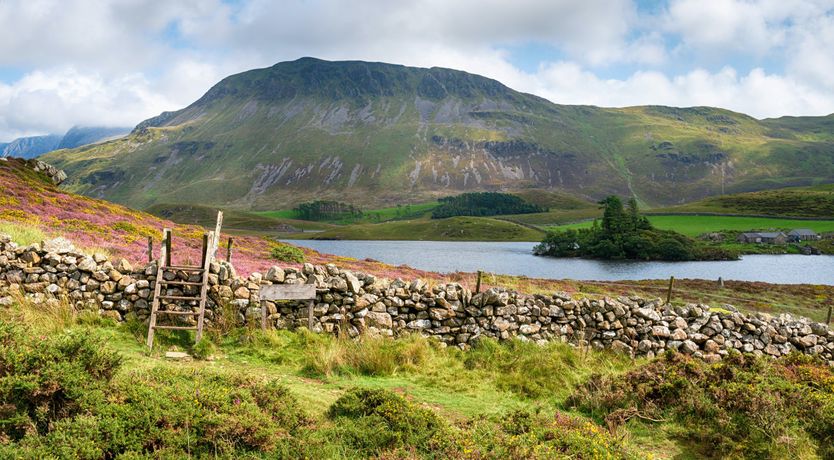 Photo of The Olde Abode