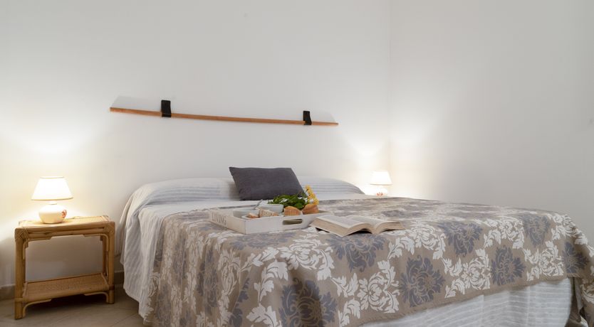 Photo of Vervain In Bloom