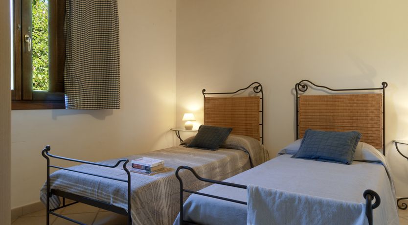 Photo of Vervain In Bloom