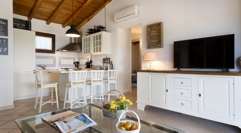 Photo of Vervain In Bloom