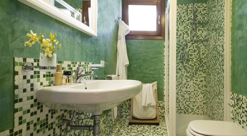 Photo of Vervain In Bloom