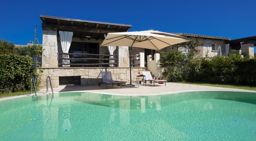 Photo of Vervain In Bloom